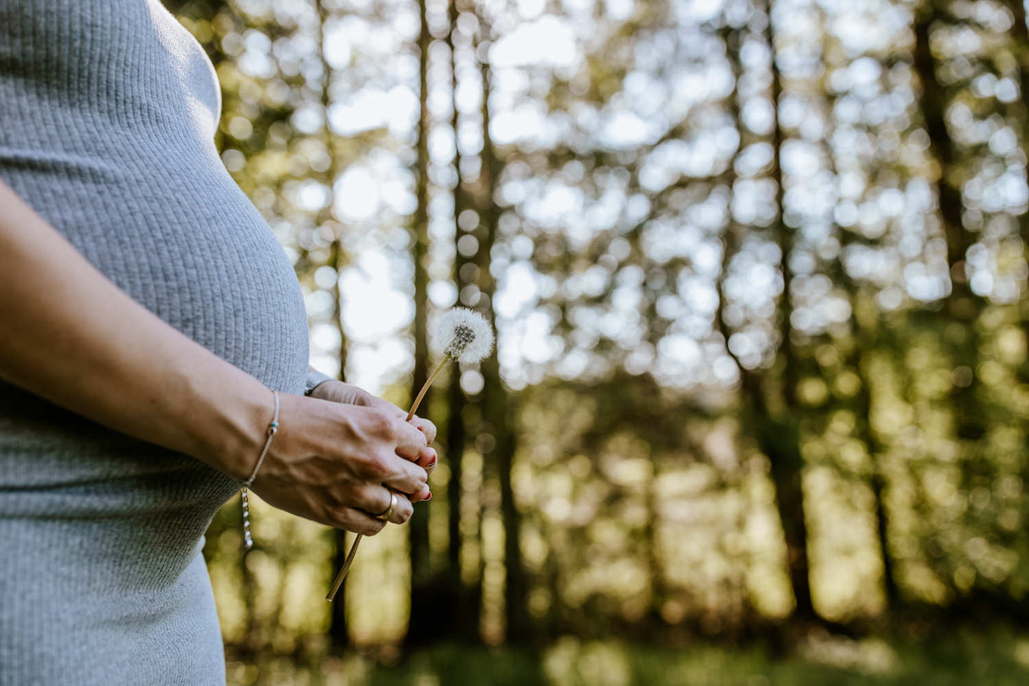 Babybauch mit Pusteblume in der Natur Penzberg