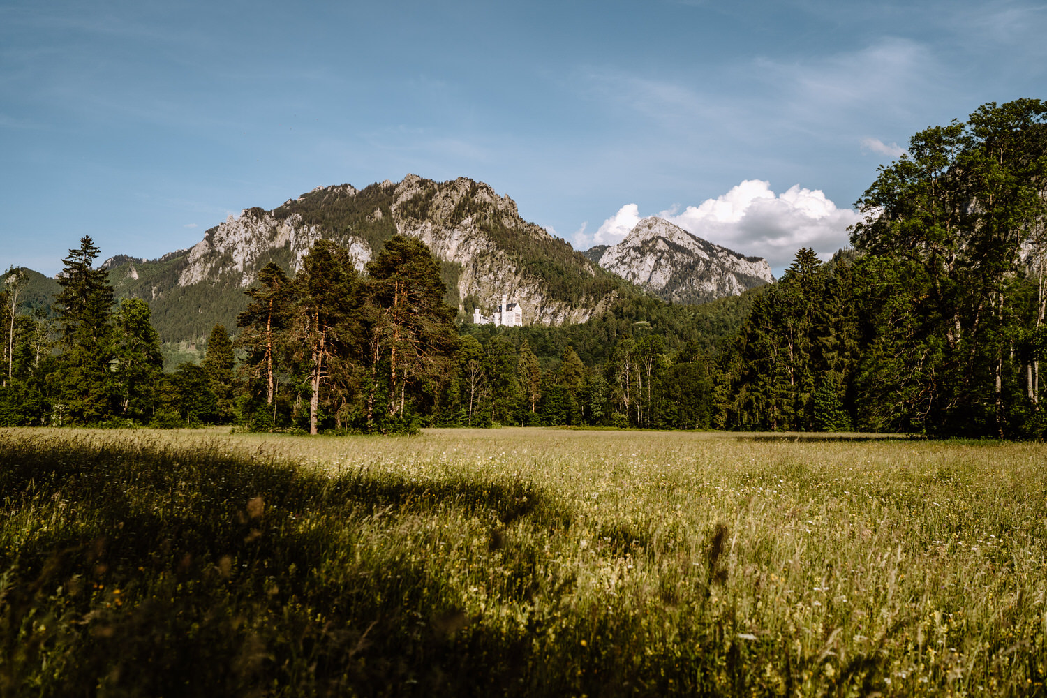 Traumhafte Wiese für ein Fotoshooting in der Nähe vom Schwansee im Allgäu